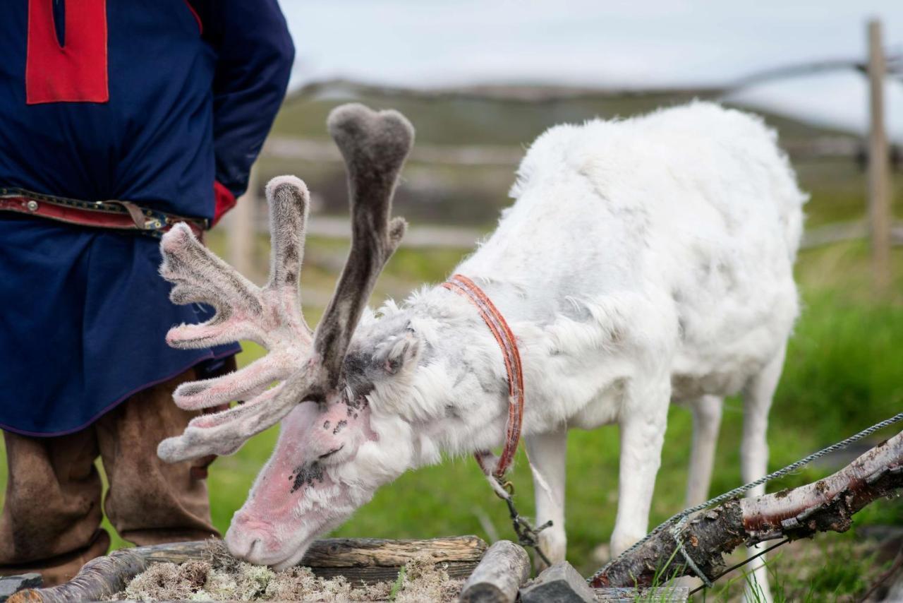 Scandic Nordkapp 호텔 호닝스보그 외부 사진